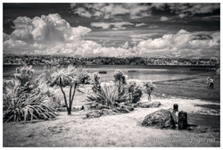 Lake Mahinapua Scenic Reserve, West Coast